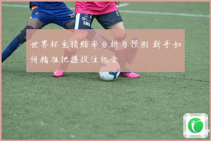 世界杯竞猜赔率分析与预测 新手如何精准把握投注机会